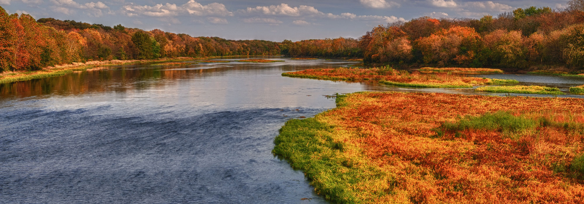 2026 Fall Color Picks